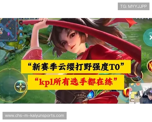 职业选手对于英雄强度的适配性提升建议